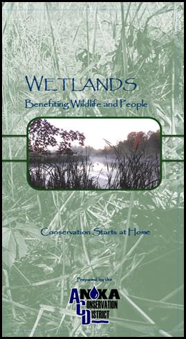 wetlands brochure