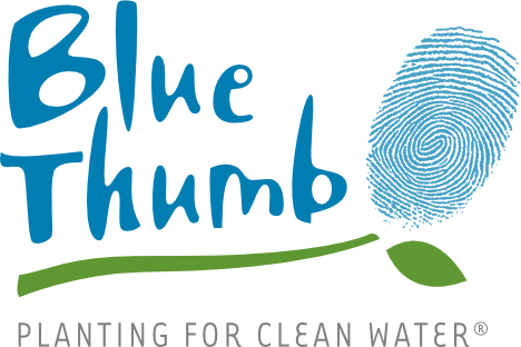 bluethumb logo large