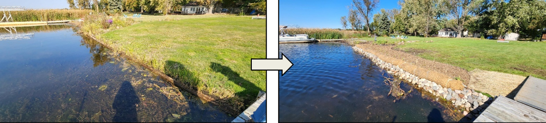 Photo: Rock, coir logs, and native vegetation replaced an eroding shoreline with a failing retaining wall and turf grass to the water’s edge on this Coon Lake shoreline.