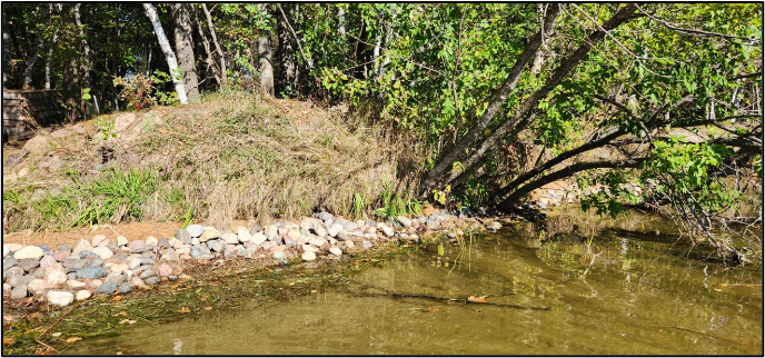 Photo: Rock, coir logs, and native vegetation applied along a shoreline experiencing severe undercutting to stabilize the base, create a bench for vegetation growth, and minimize disturbance to the established trees and shrubs above.