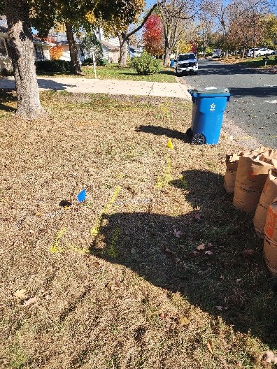 Photo: Underground utility markings – yellow lines are gas, and blue lines are water.
