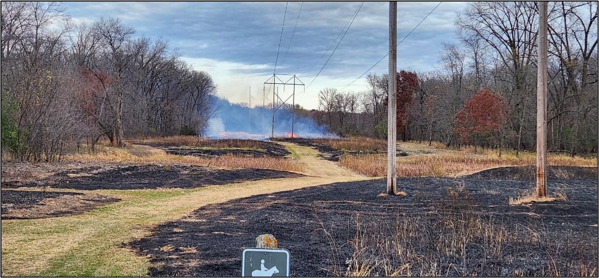 Photo: ACD staff observed this prescribed burn taking place at Rum River Central Regional Park.