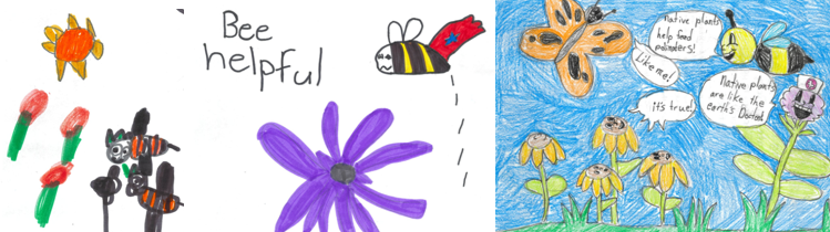 Photo: Student drawings from Hayes Elementary, Grades 2, 3, and 4.
