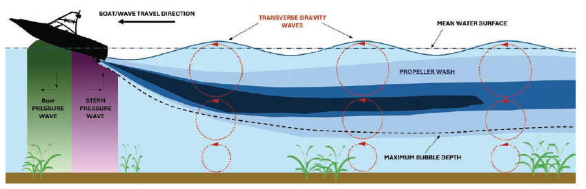 Photo: Illustration of the three hydrodynamic phenomena being
produced by a powerboat and how they interact with the water column beneath the boat.