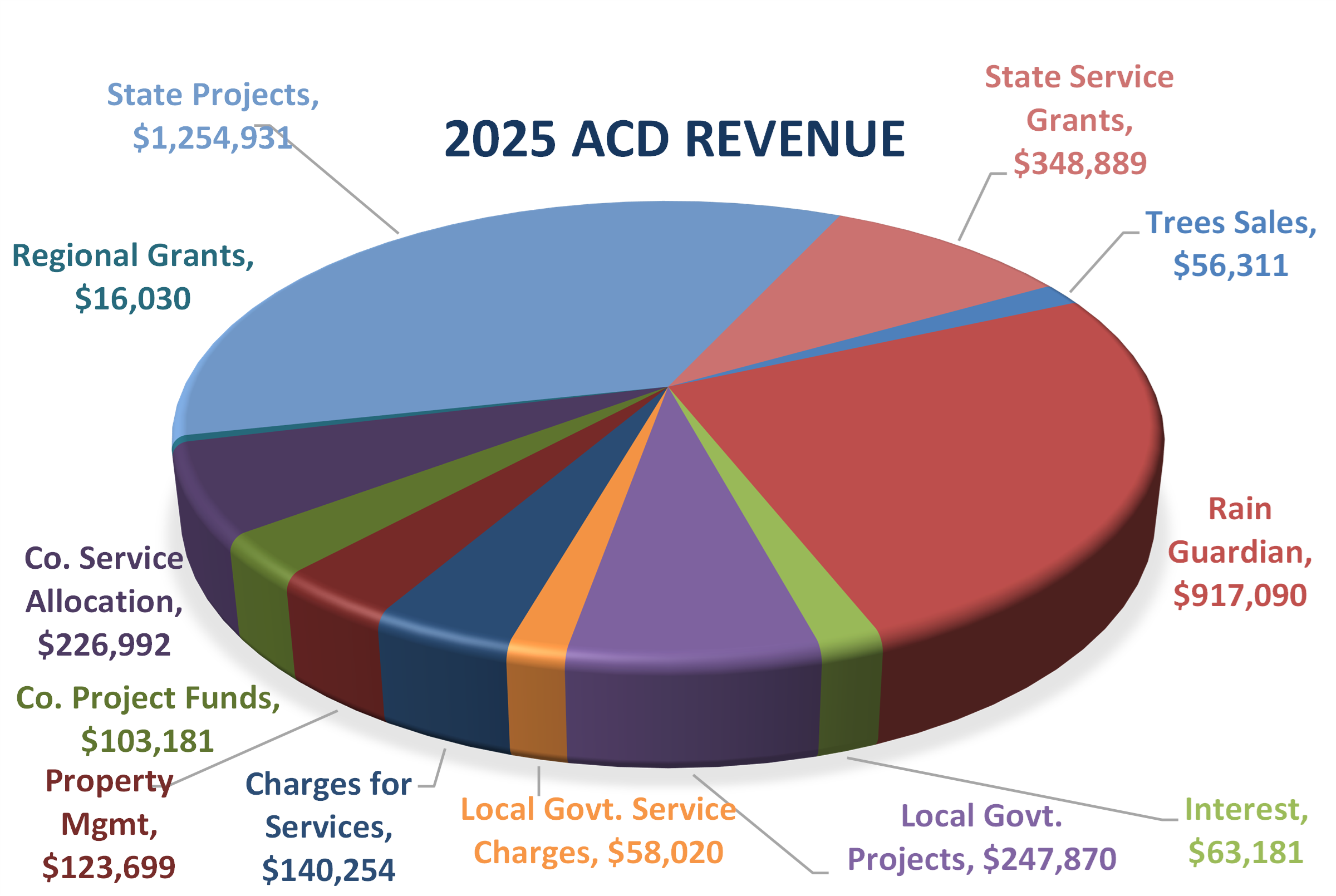 3D pie chart showing the relative distribution of revenues in 2025. The top five largest sources in order are state project grant, Rain Guardian sales, state service grants, local government project grants, and county service allocation.