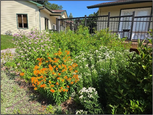 Photo: Pollinator garden at the ACD office.