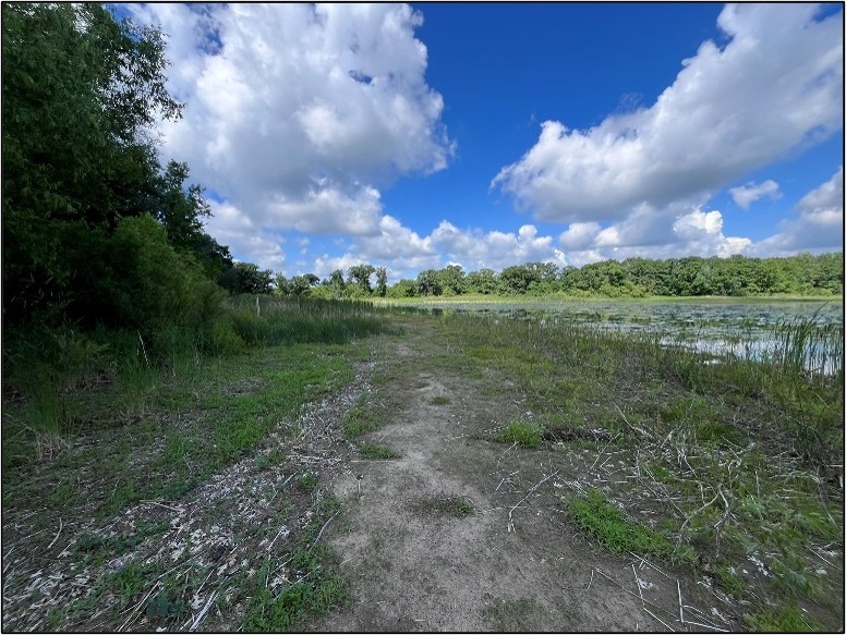 Photo: Exposed lakebed on Coopers Lake. Although prolonged drought creates serious concerns, occasional low-water periods can benefit shallow-lake ecosystems by exposing dormant seeds, encouraging native wetland vegetation, consolidating sediment, and creating valuable wildlife habitat.