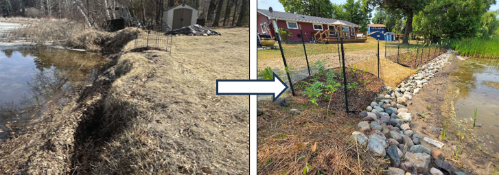 Photo: Lakeshore project before (left) and after (right). Rock provides long-term stabilization for the base of the slope, and native vegetation stabilizes the soil above. Emergent vegetation and vegetated riprap were incorporated to increase ecological value and further stabilize soil below the rock. An opening in the buffer allows for water and dock access. Temporary fencing will prevent forage pressure from deer, geese, and rabbits while plants establish.